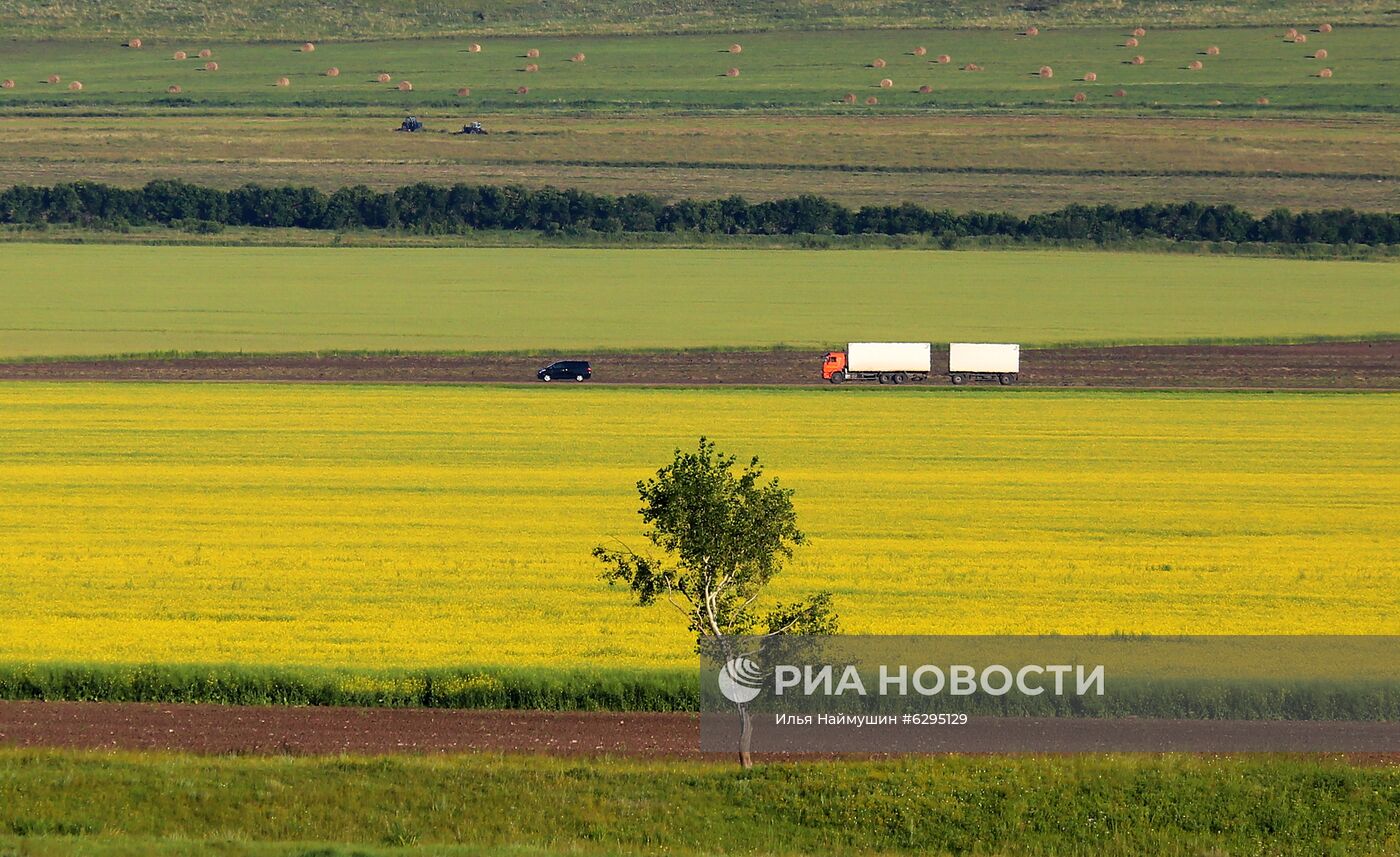 Выращивание сельскохозяйственных культур в Красноярском крае