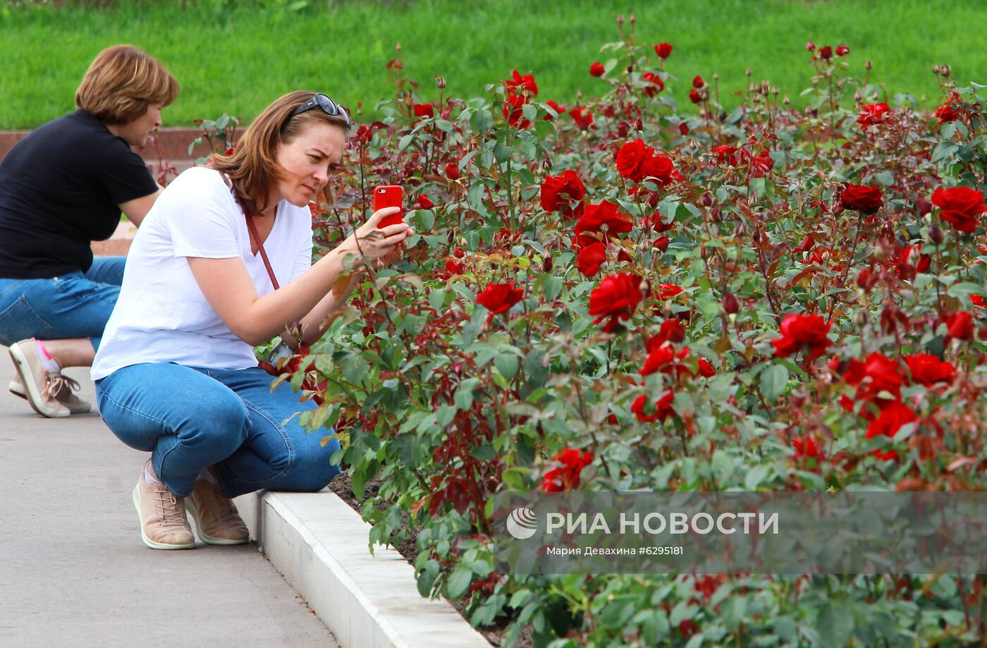 Обновленный рисунок "Большой картины полей" на ВДНХ