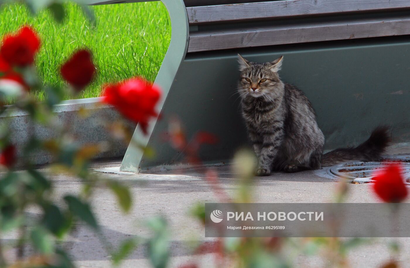 Обновленный рисунок "Большой картины полей" на ВДНХ