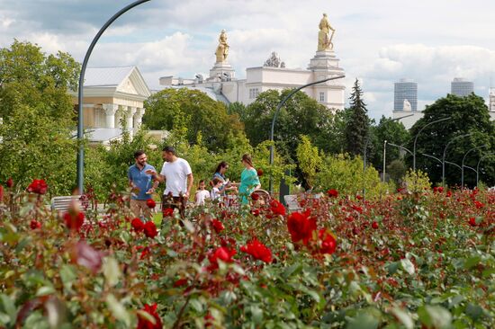 Обновленный рисунок "Большой картины полей" на ВДНХ