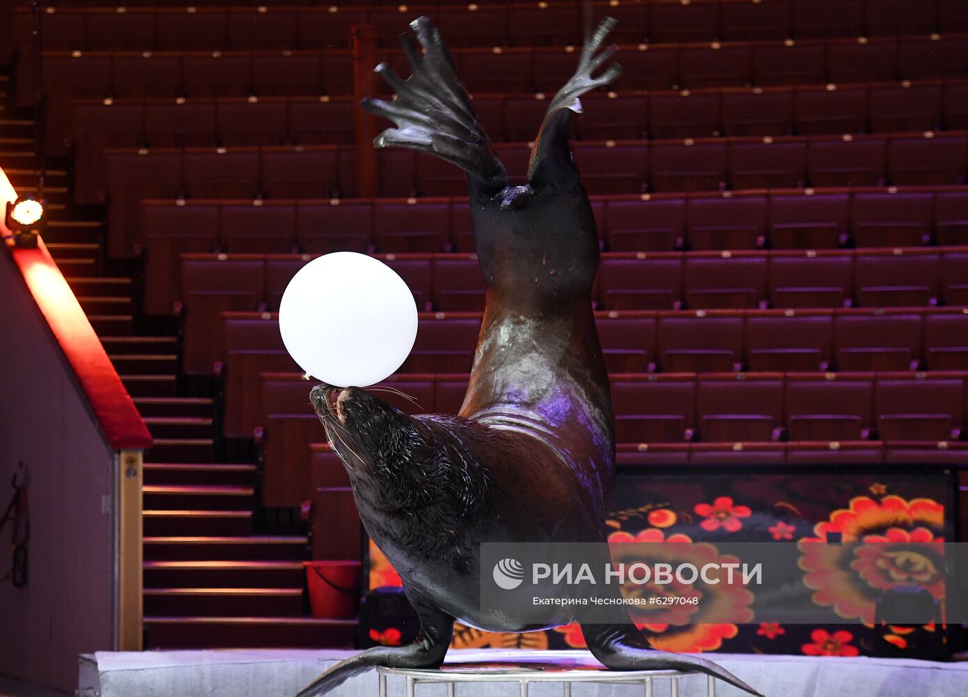 П/к, посвященная старту нового сезона в Московском государственном цирке 