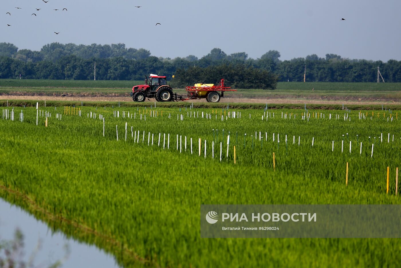 Федеральный научный центр риса в Краснодаре