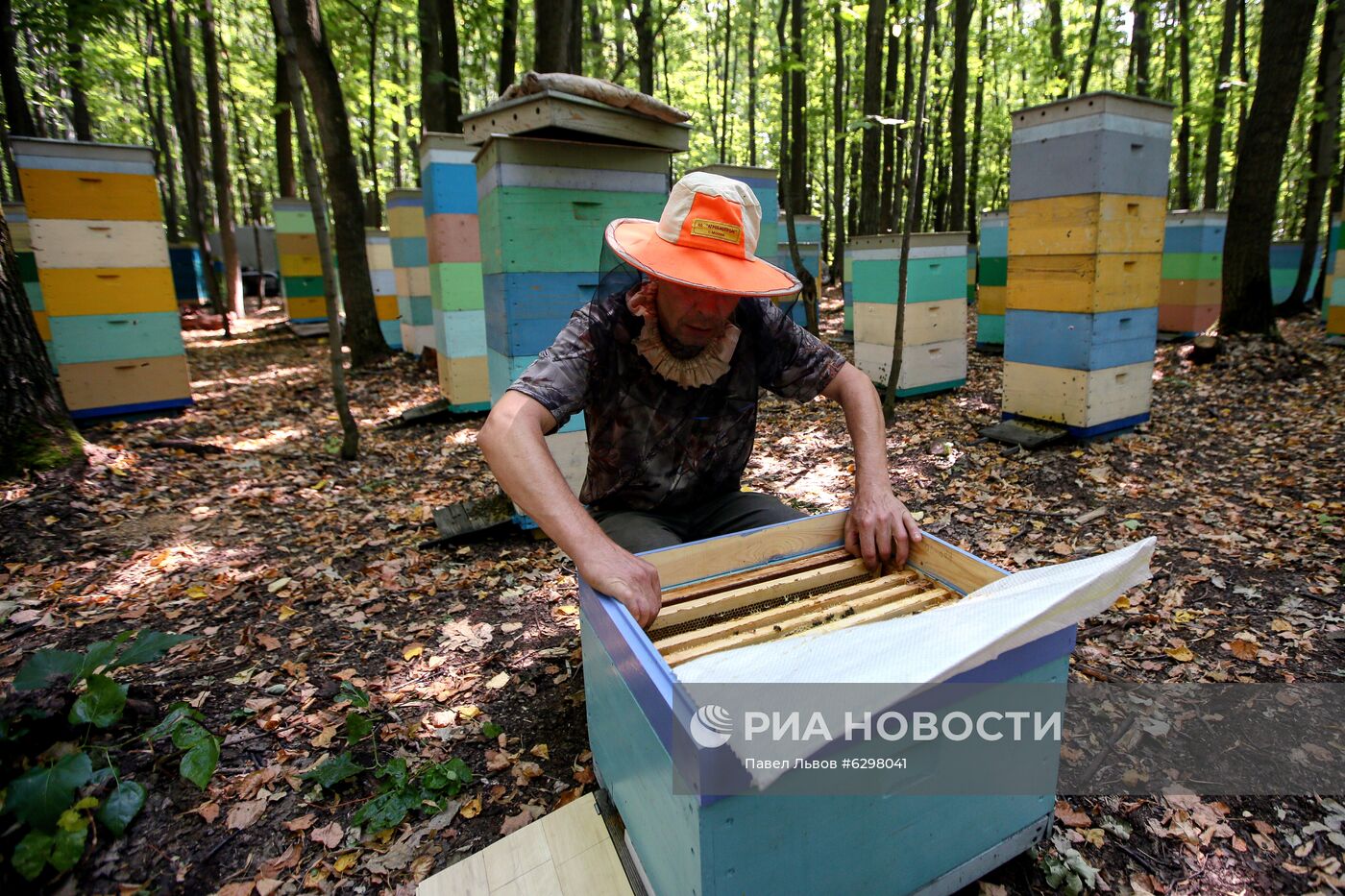 Подготовка к сбору меда на пасеке в Самарской области