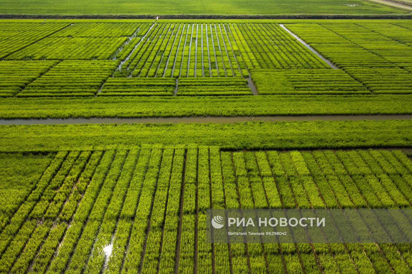 Федеральный научный центр риса в Краснодаре