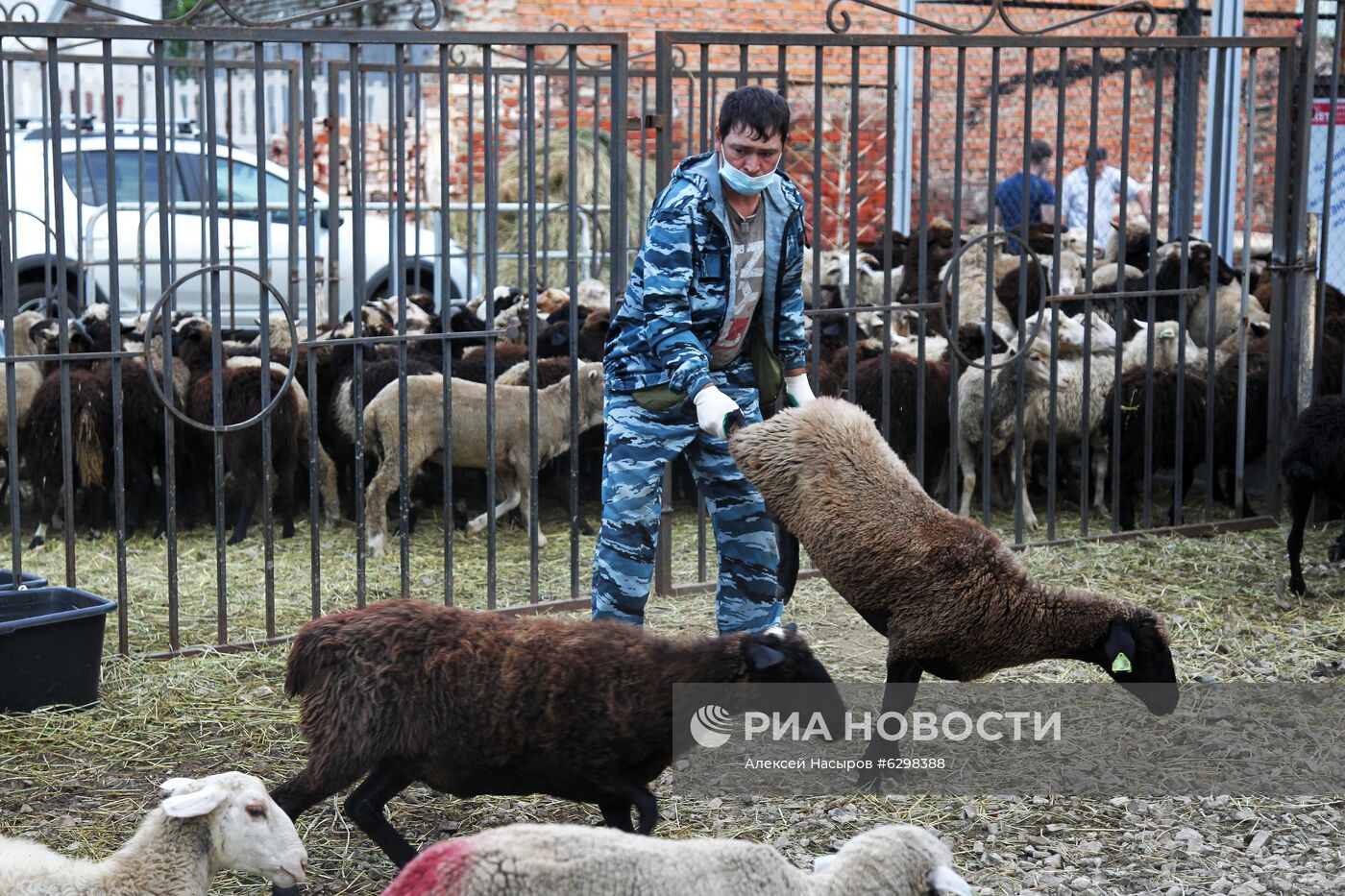 Празднование Курбан-байрама в регионах России