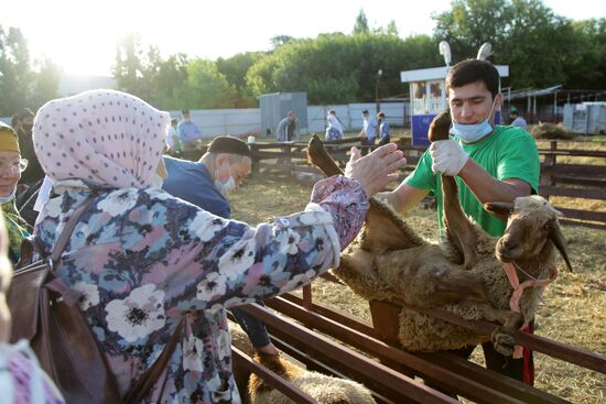 Празднование Курбан-байрама в регионах России