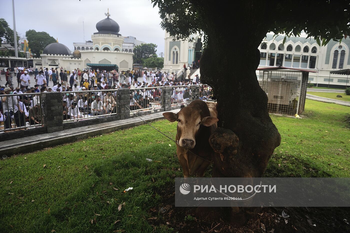 Празднование Курбан-байрама в Индонезии