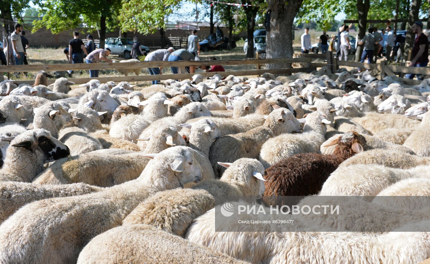 Празднование Курбан-Байрама в регионах России