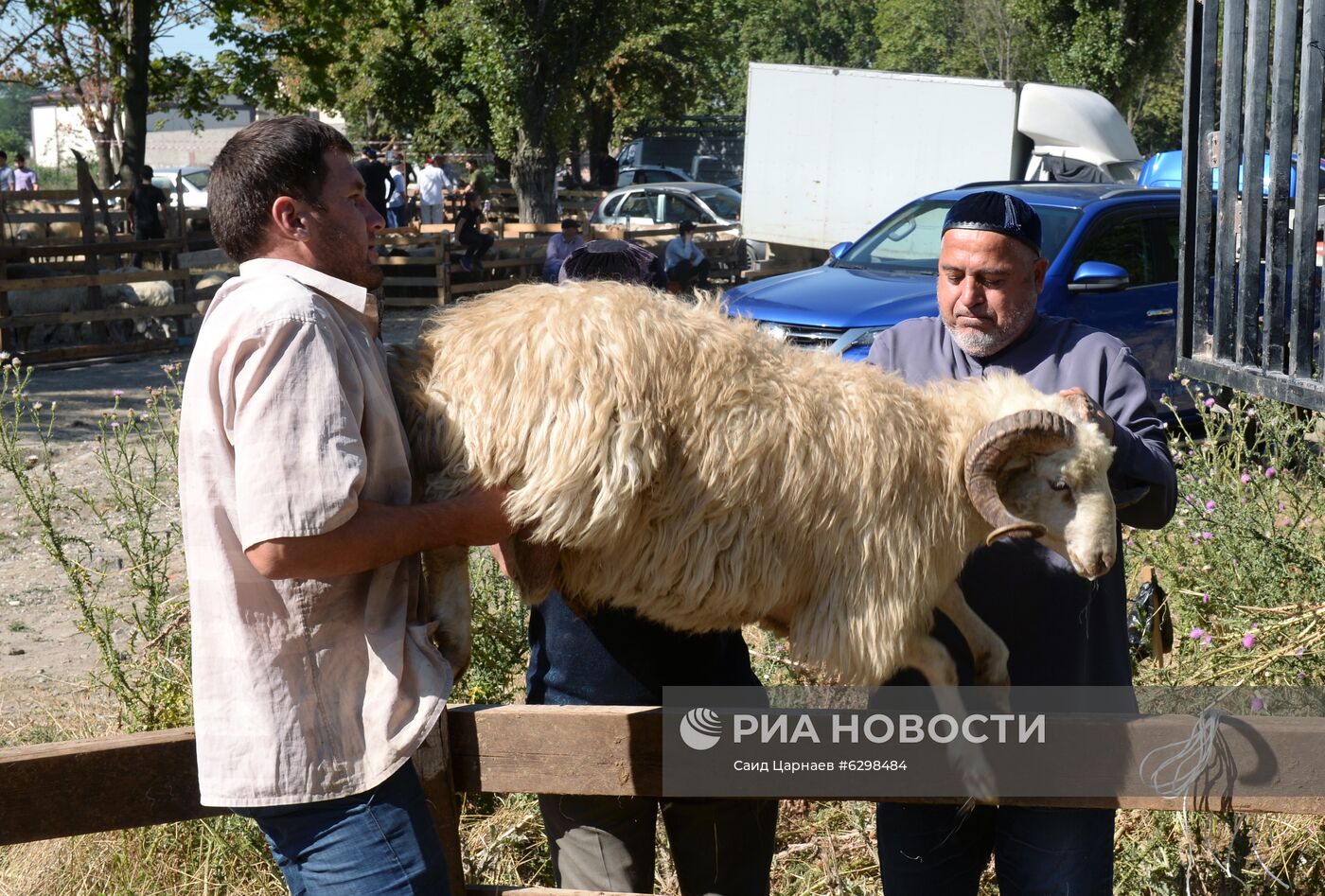 Празднование Курбан-Байрама в регионах России