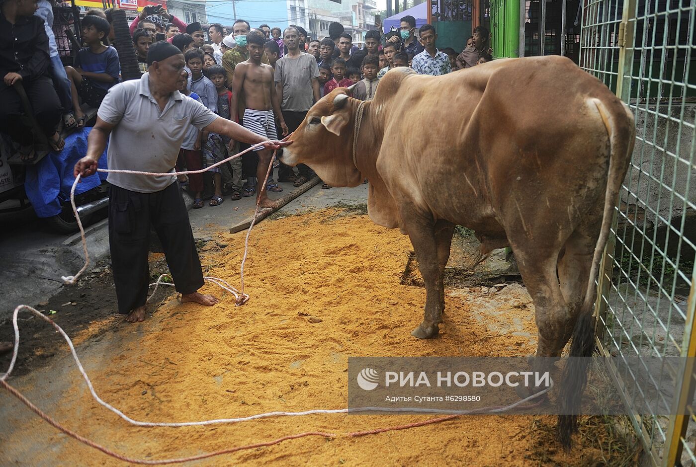 Празднование Курбан-байрама в Индонезии