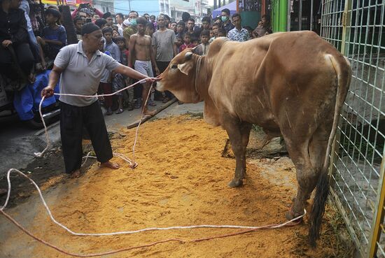 Празднование Курбан-байрама в Индонезии