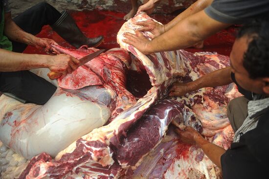 Празднование Курбан-байрама в Индонезии