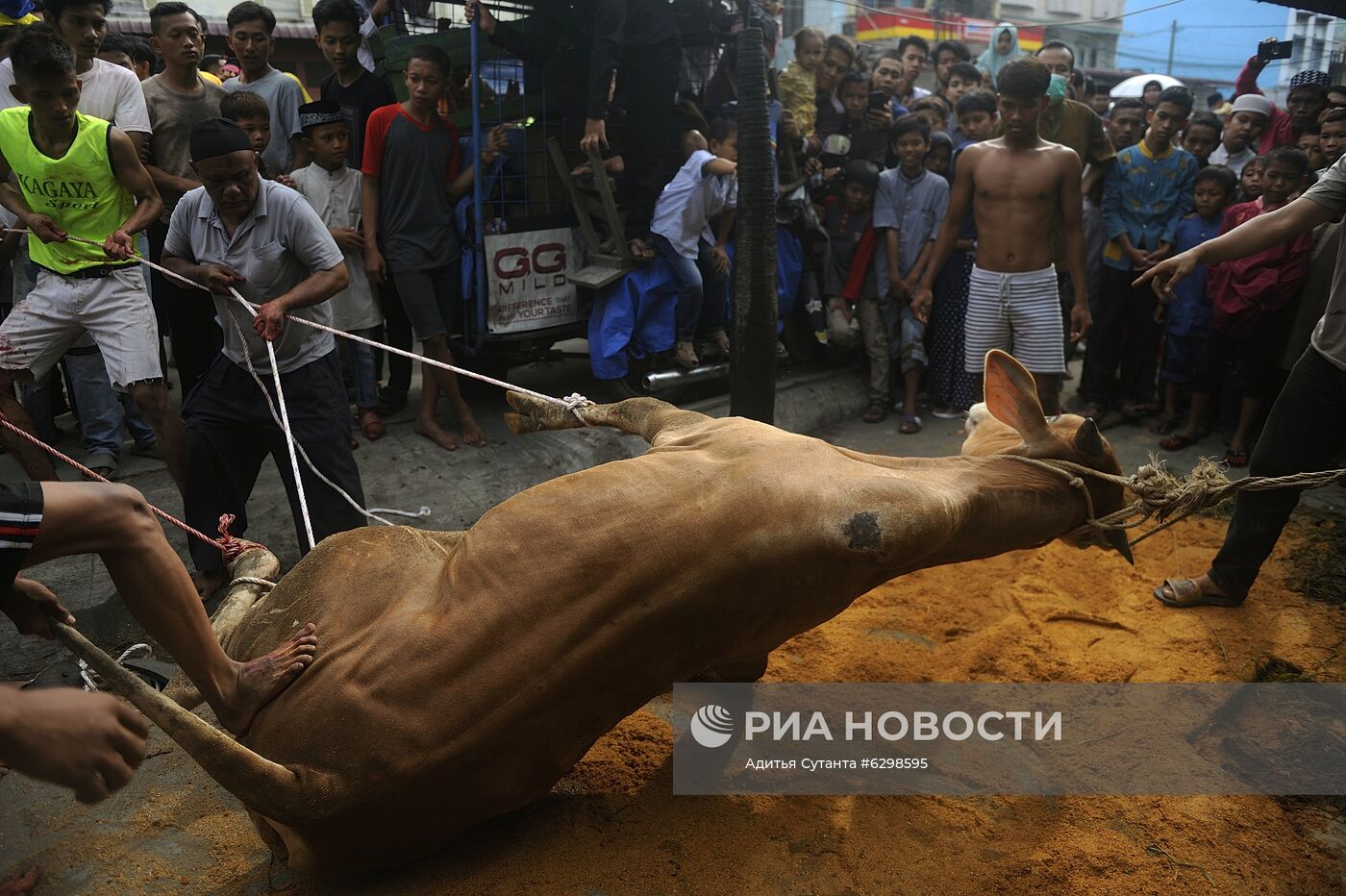 Празднование Курбан-байрама в Индонезии