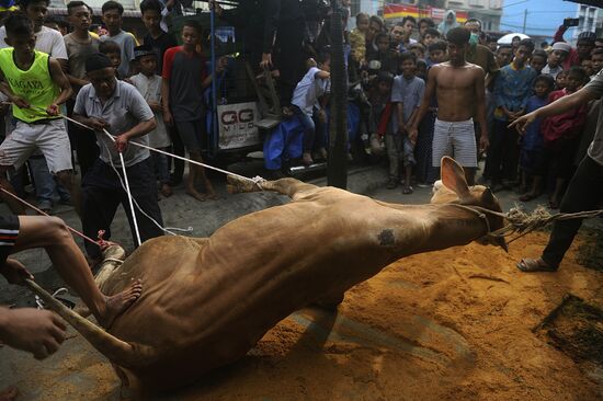 Празднование Курбан-байрама в Индонезии