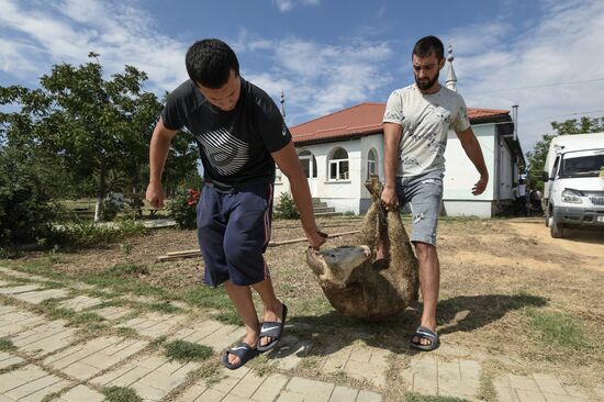 Празднование Курбан-Байрама в регионах России