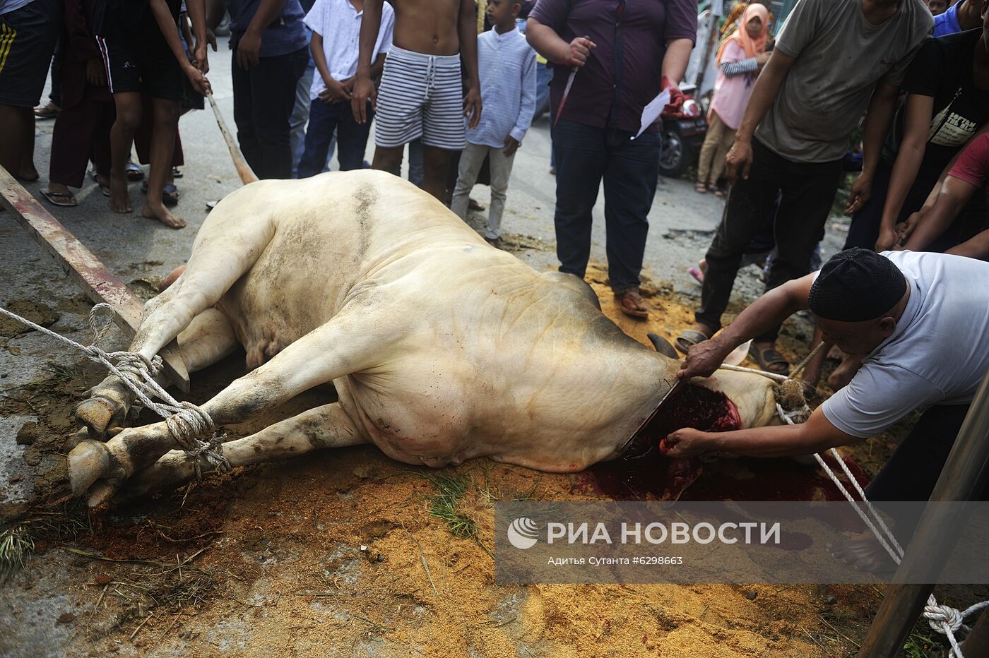 Празднование Курбан-байрама в Индонезии