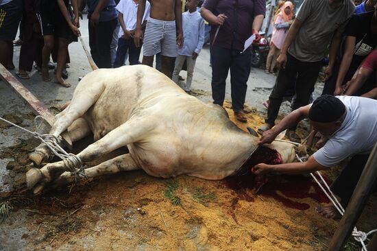 Празднование Курбан-байрама в Индонезии