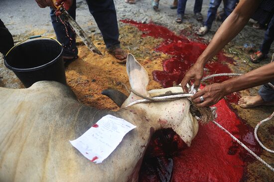 Празднование Курбан-байрама в Индонезии