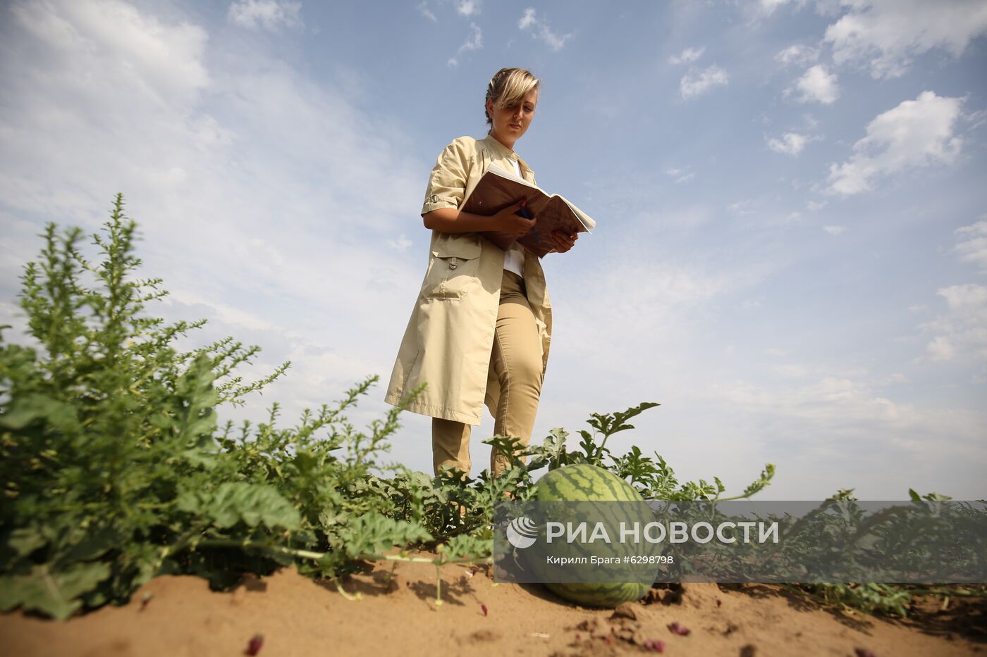 Быковская бахчевая селекционная опытная станция в Волгоградской области