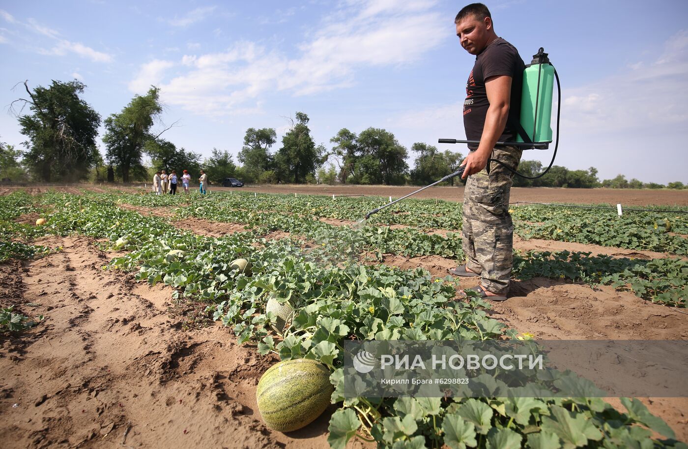 Быковская бахчевая селекционная опытная станция в Волгоградской области