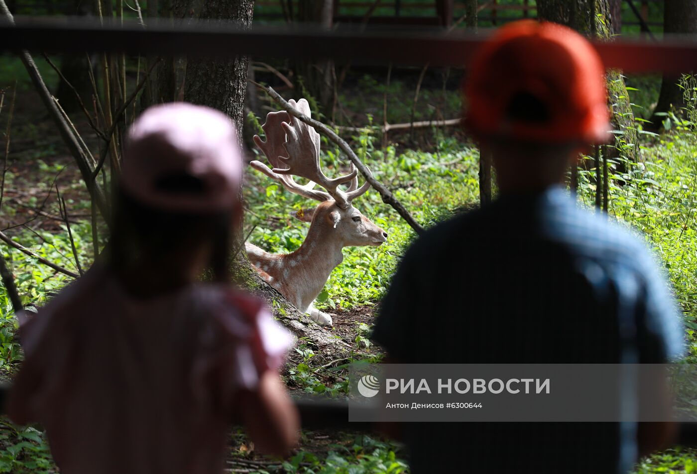 Вольерный комплекс "Дом лани"