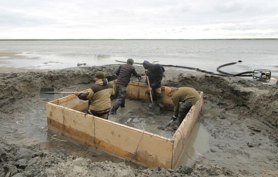 Скелет взрослого мамонта нашли на Ямале