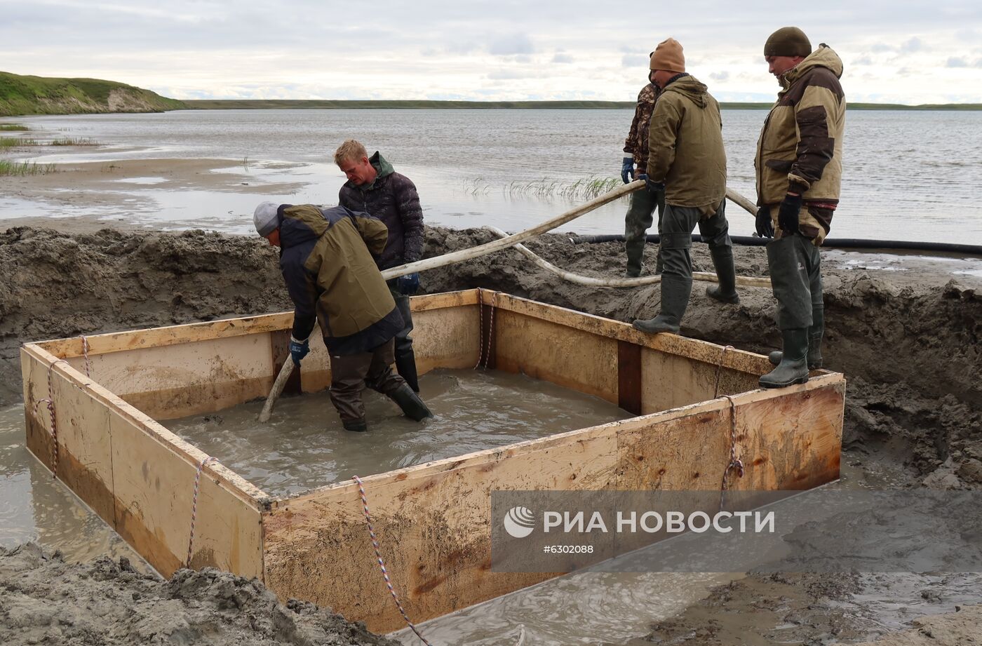 Скелет взрослого мамонта нашли на Ямале