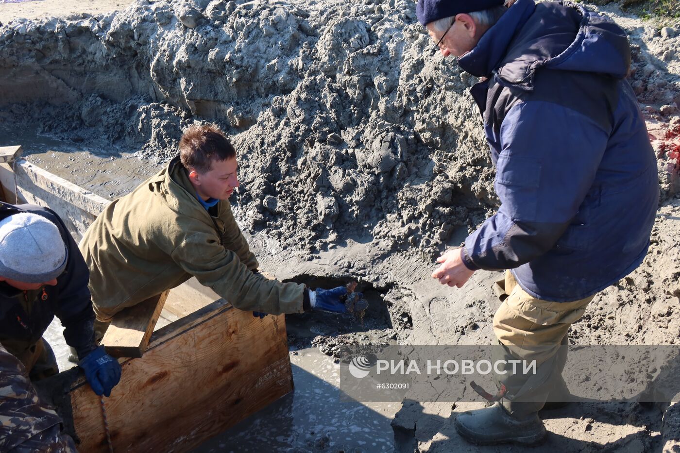Скелет взрослого мамонта нашли на Ямале