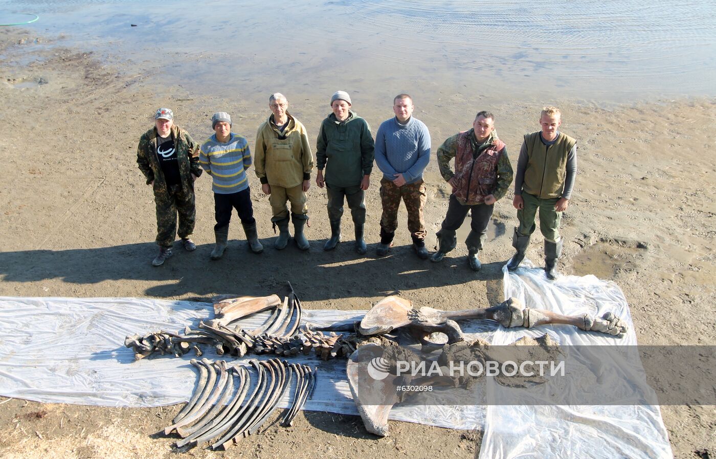 Скелет взрослого мамонта нашли на Ямале