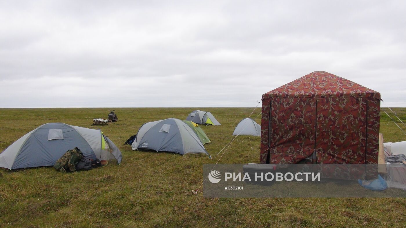 Скелет взрослого мамонта нашли на Ямале