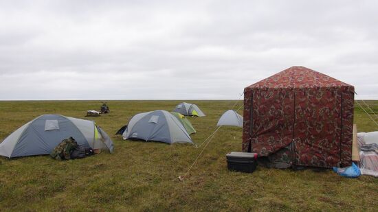 Скелет взрослого мамонта нашли на Ямале