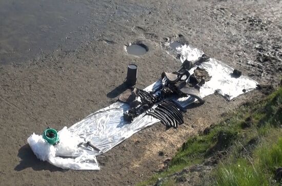 Скелет взрослого мамонта нашли на Ямале