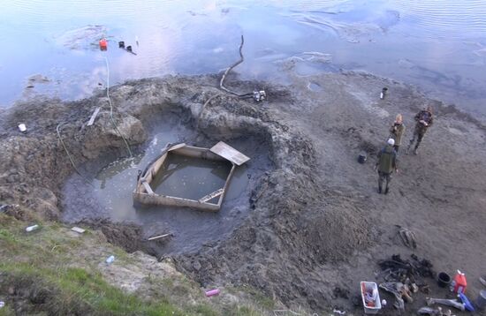 Скелет взрослого мамонта нашли на Ямале