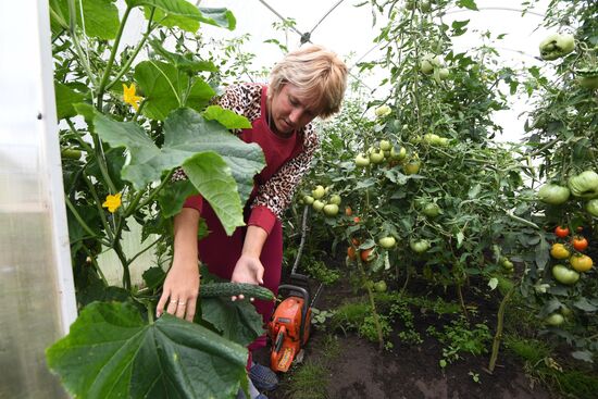 Тулун после паводка 