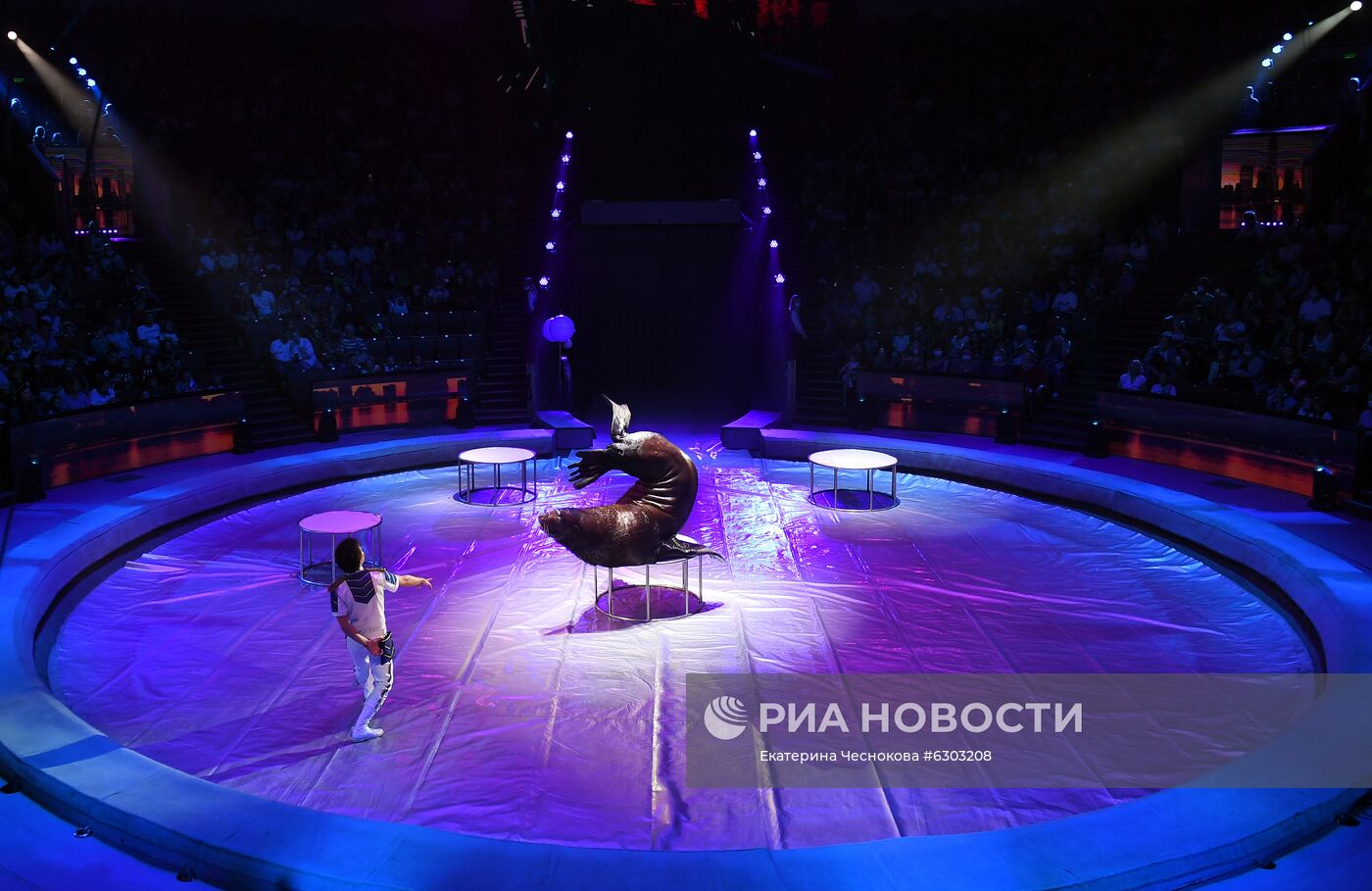 Открытие сезона в Большом Московском цирке