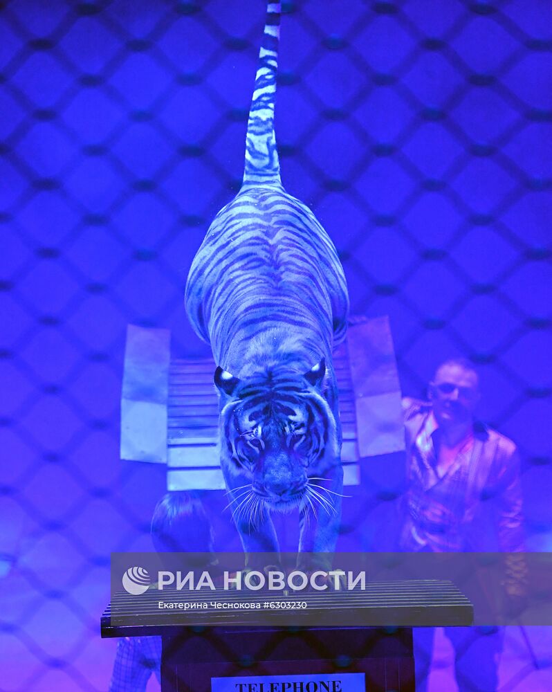 Открытие сезона в Большом Московском цирке