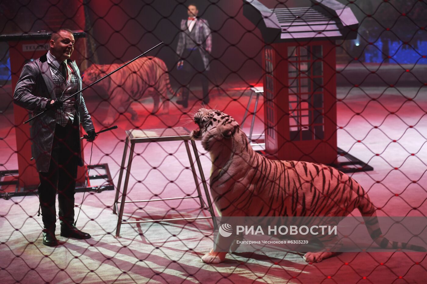 Открытие сезона в Большом Московском цирке