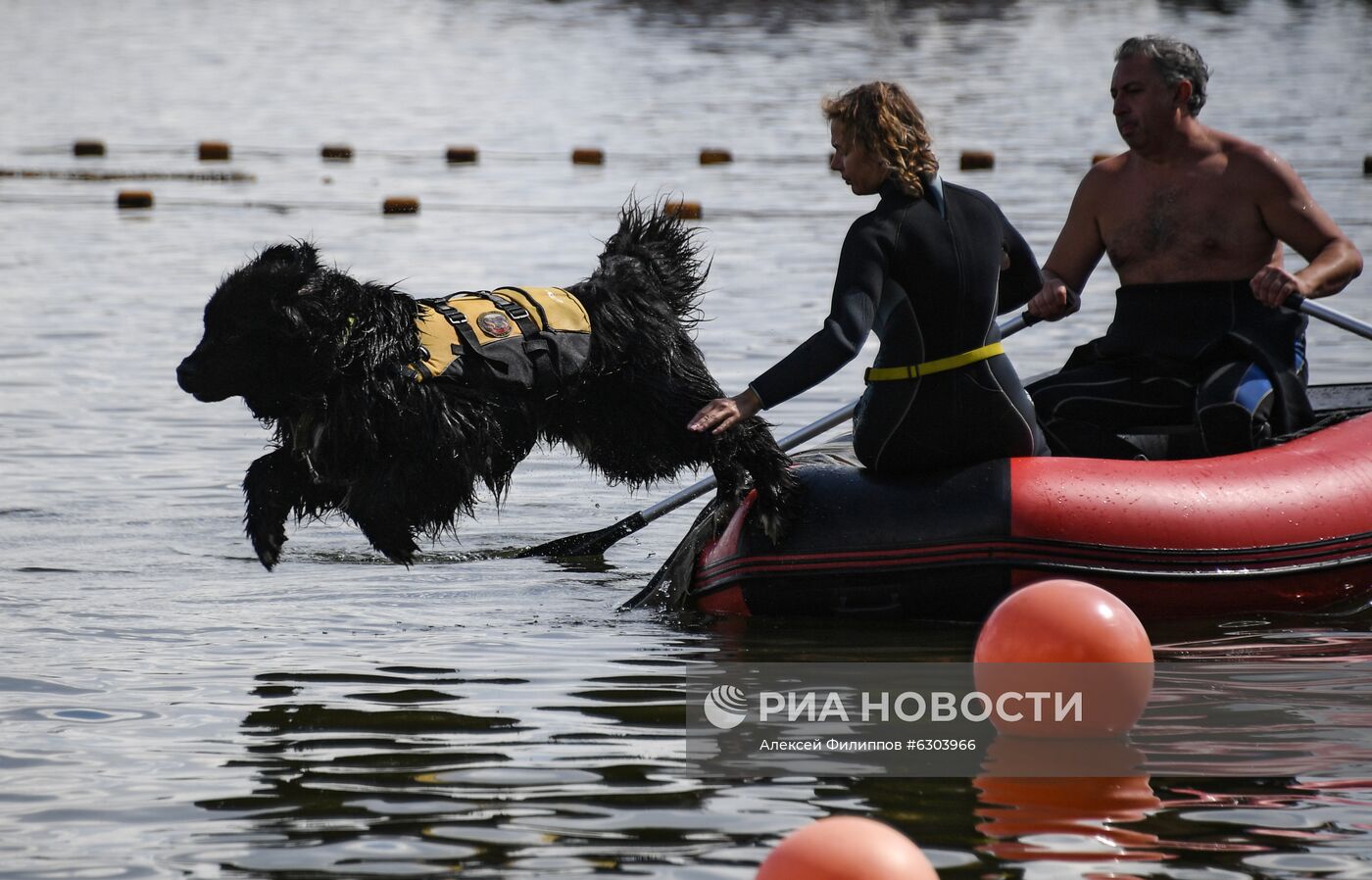 Тренировка собак-водолазов добровольного отряда "Соттер"