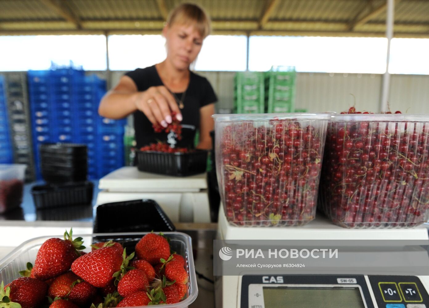 Предприятие "Тамбовские сады" 