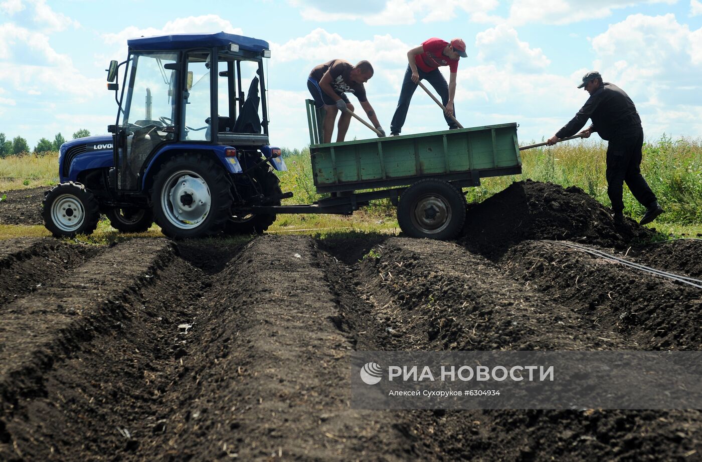 Предприятие "Тамбовские сады"