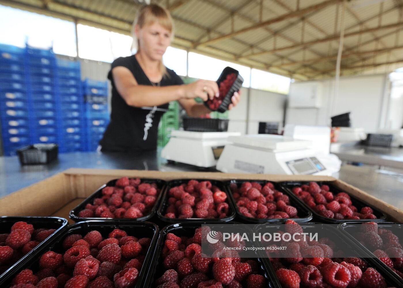 Предприятие "Тамбовские сады"