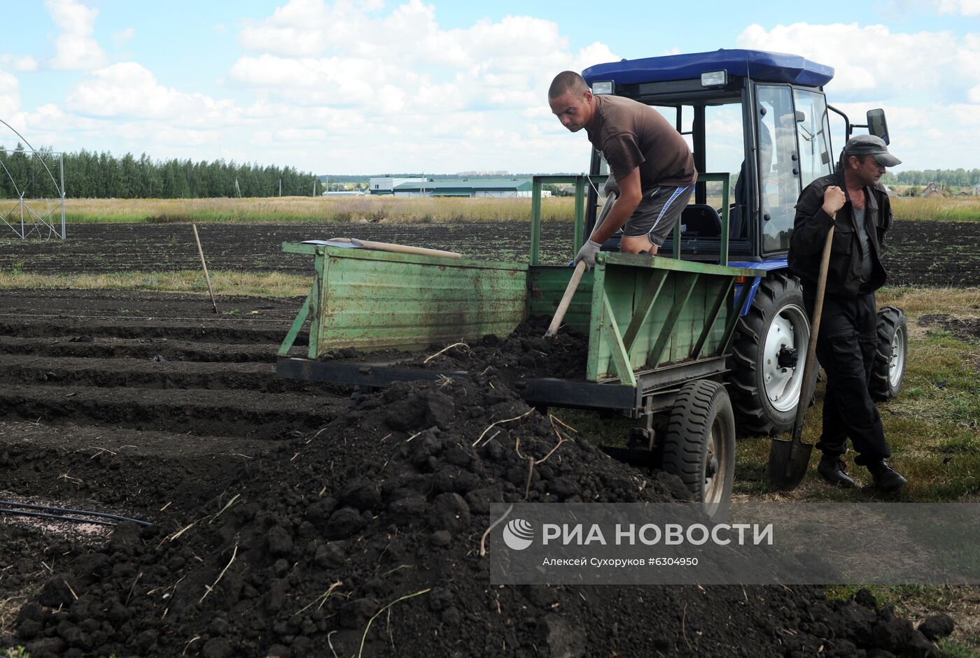 Предприятие "Тамбовские сады" 