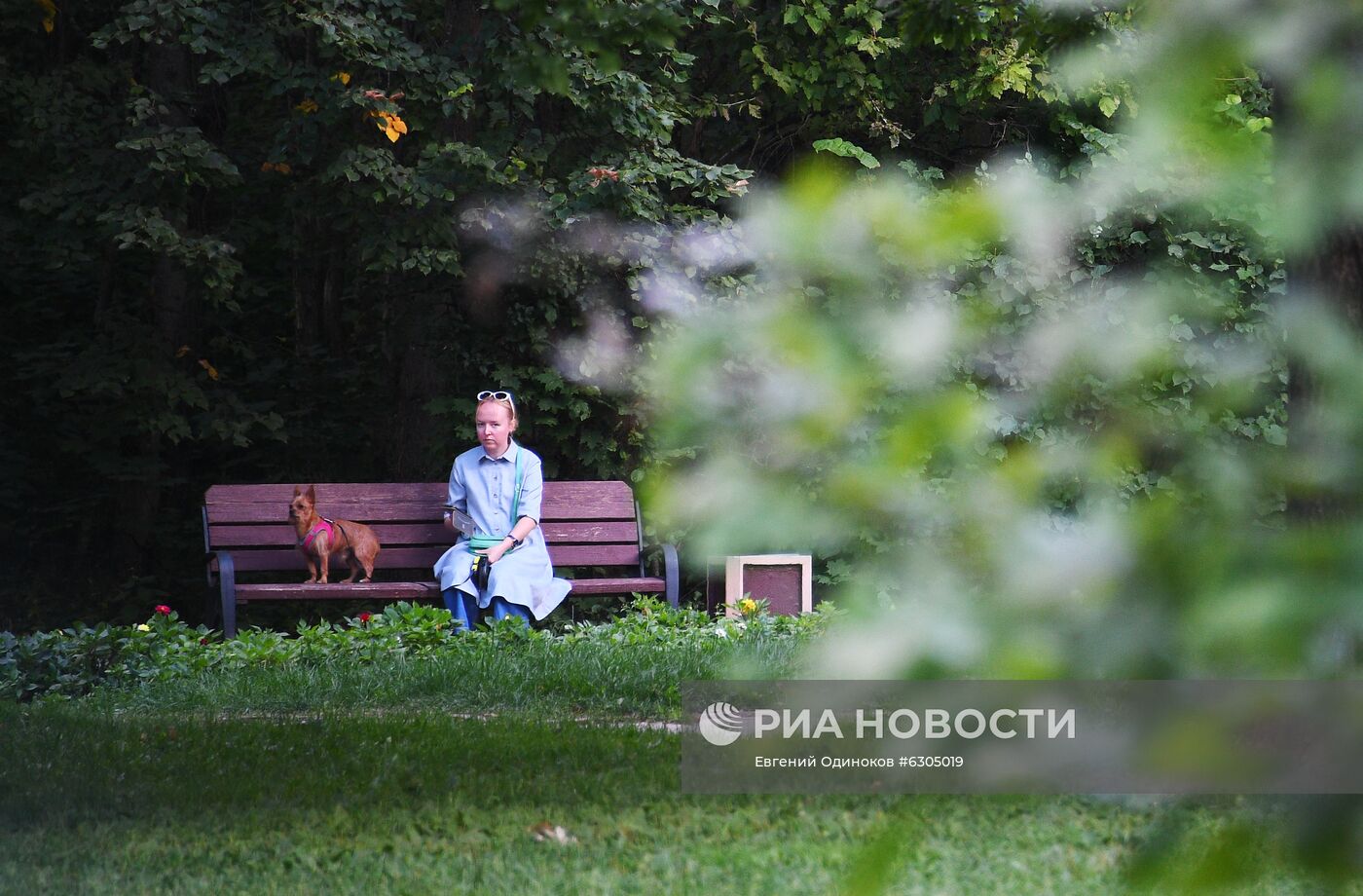 В Москве открылись "сады здоровья"