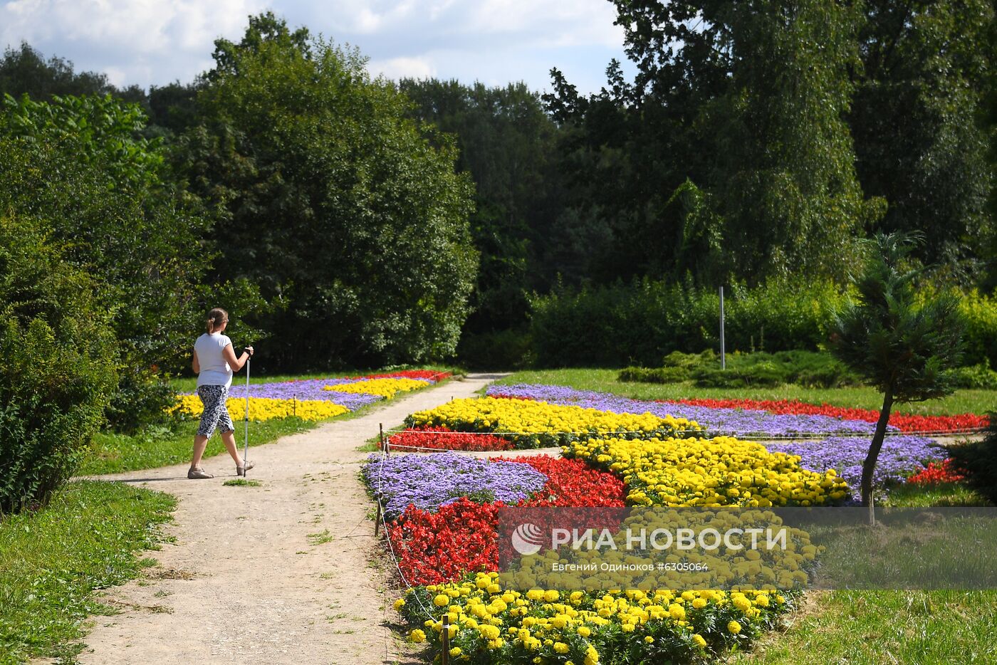 В Москве открылись "сады здоровья"