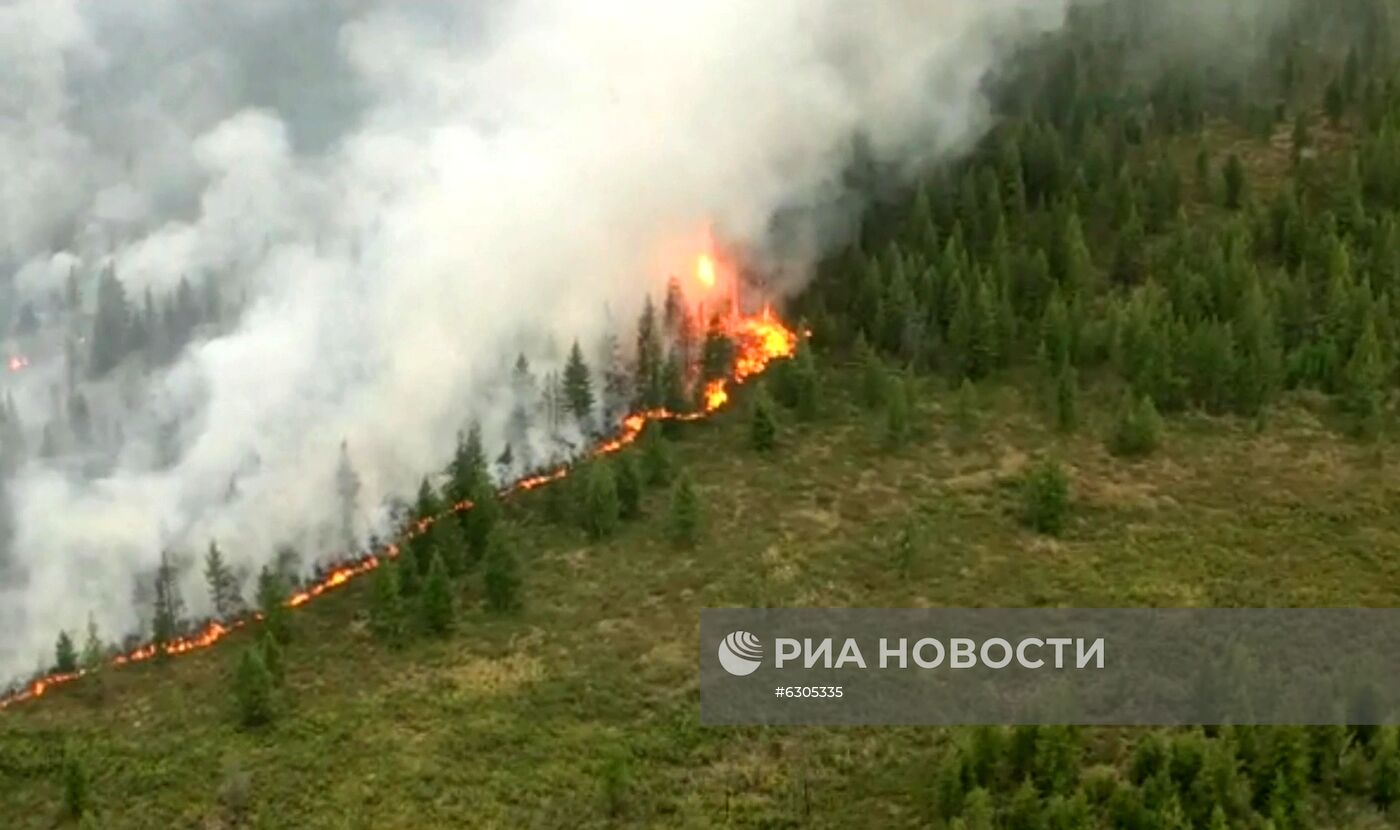 Лесные пожары в регионах России