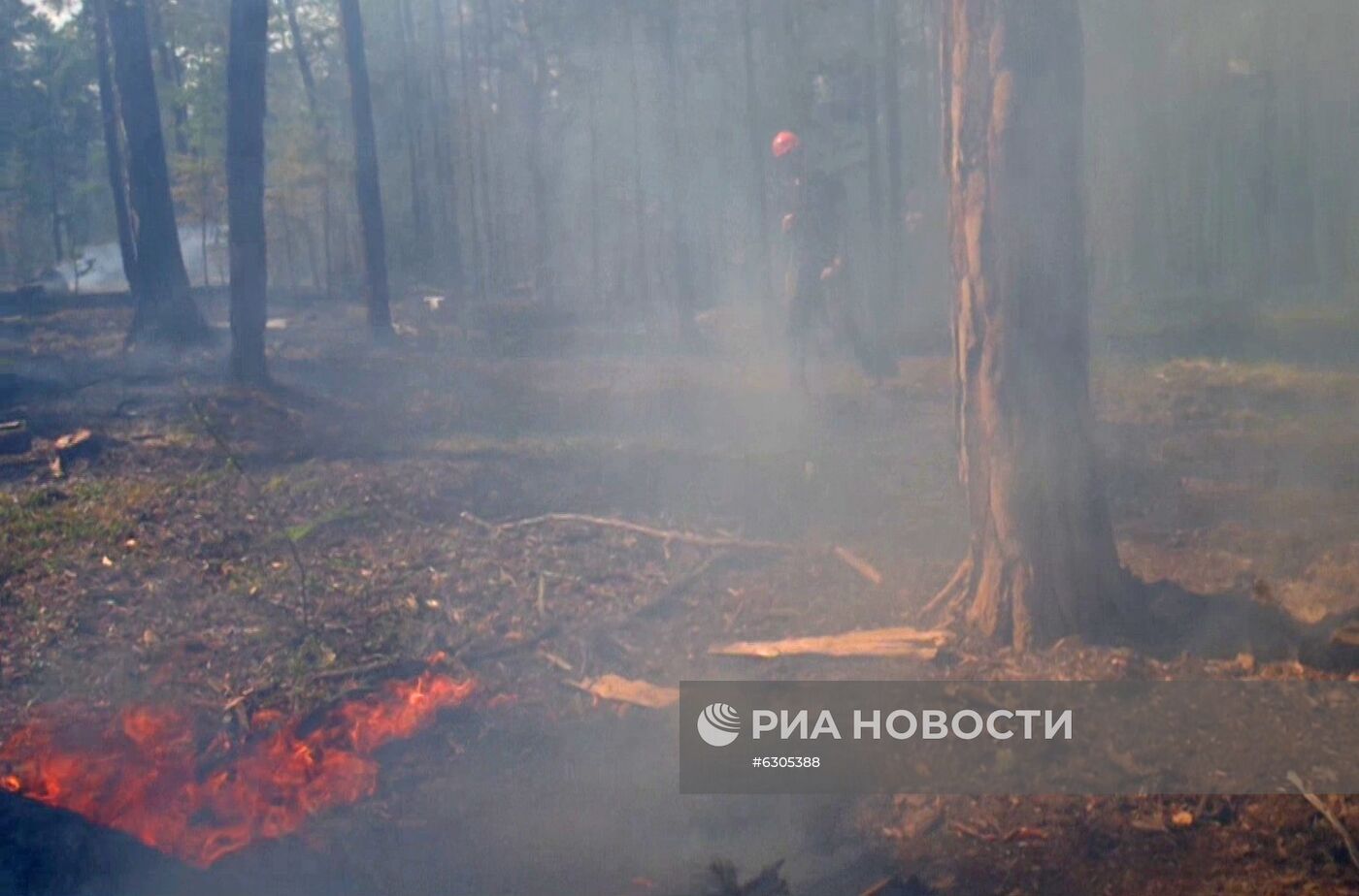 Лесные пожары в регионах России