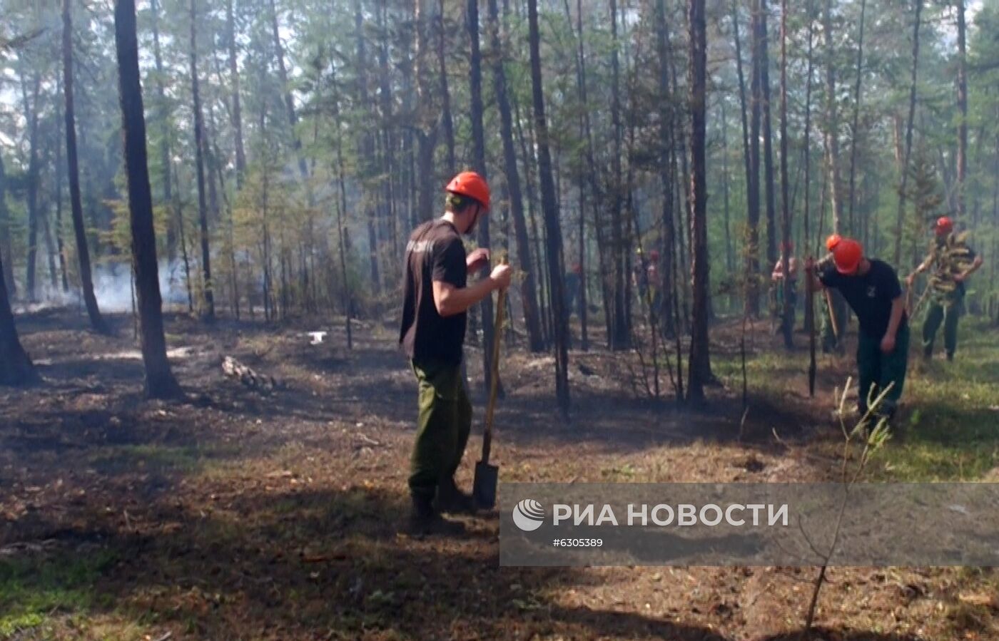 Лесные пожары в регионах России