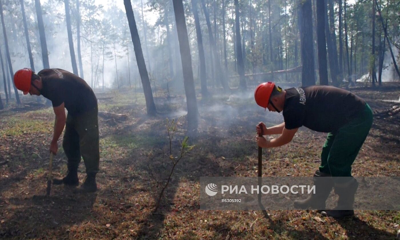 Лесные пожары в регионах России