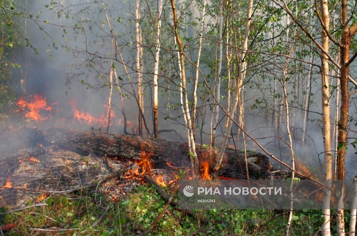 Лесные пожары в регионах России