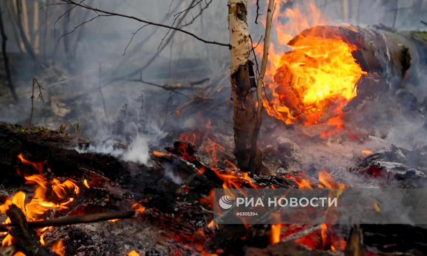 Лесные пожары в регионах России